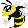 Buzz Lawn Care