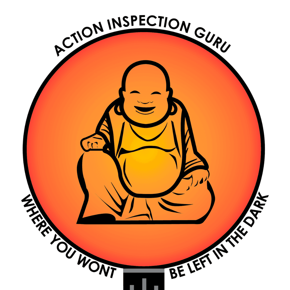 Action Inspection Guru
