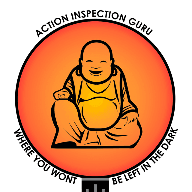Action Inspection Guru