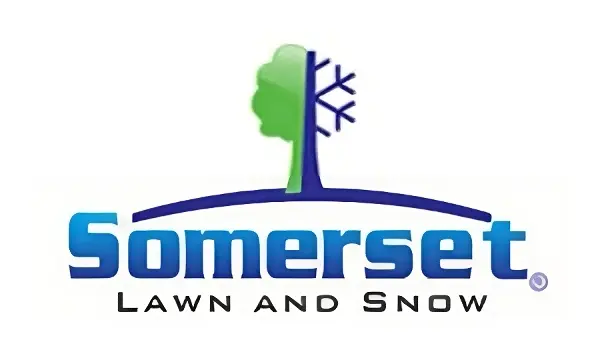 Somerset Lawn and Snow
